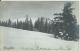 AK 0537  Rossfeld - Weg Nach Dem Purtschaller Haus Am Hohen Göll Um 1910 - Berchtesgaden