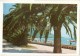 Sea View - Beach - Gagra - Abkhazia - 1984 - Georgia USSR - Unused - Géorgie