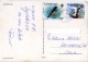 SEYCHELLES  BUTTERFLY COD  Pterois  Nice Stamps  Bird Theme - Seychelles