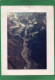 YAMATARI   Glacier: Yamatari   Népal, Asie  PHOTO   Année 1983   + Lettre - Népal