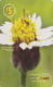 MICRONESIA - Remote Memory 5$ Card, Flower 2, Used - Micronesia