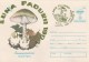 #BV4223 MUSHROOMS, AMANITA PHALLOIDES, NATURE, COVER STATIONERY, SPECIAL OBLITERATION, 1994, ROMANIA. - Mushrooms