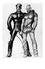 TOM OF FINLAND GAY INTEREST POSTCARD 67 -  SIZE: 15X10 CM. APROX. MINT - Cómics