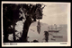 MADEIRA BANANEIRAS - Baia Do Funchal Com Barcos Navio Veleiro - Vintage Real Photo Postcard PERESTRELLOS Portugal - Madeira