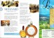 Ancienne Brochure Touristique Sur Grasse Parfums Fragonard Molinard (1997) - Tourism Brochures