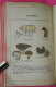 Delcampe - Livre Book Atlas Des Champignons Par Costantin 228 Figures Couleur édité Imprimerie Rété à Corbeille "Une Bible" - 1901-1940
