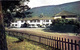 CUMBRIA - KESWICK - BASSENTHWAITE - PHEASANT INN - 3 DIFFERENT CARDS  Cu1124/26 - Other & Unclassified