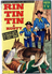RINTINTIN & RUSTY N° 52 LES CHEVALIERS DE LA TABLE RONDE 1964 -  50 PAGES - Rintintin