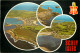 Aerial View, Scilly Isles, Cornwall, England Postcard Posted 1980 Stamp - Scilly Isles