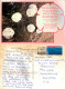 Sand Dollar, Florida, United States US Postcard Posted 2006 Stamp - Autres & Non Classés