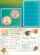 Sand Dollar Shells, Florida, United States US Postcard Posted 2012 Stamp - Autres & Non Classés