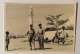 UFFICIALI ITALIANI BAIDOA LUGLIO 1951 PERIODO COLONIALE -- CM.10X7 - Guerra, Militari