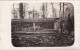 CP Photo 14-18 Au Bois D´Hennemont (près Etain) - Les Obus Pour "le Canon De Conflans" (A157, Ww1, Wk 1) - Autres & Non Classés