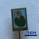 Badge (Pin) ZN003755 - Slovakia (Slovensko / Slovacka / Slowakei) Pieš&#357;any (Pistyan / Pöstyén / Pieszczany) - Villes