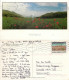 Egiali Fields, Amorgos, Greece Postcard Posted 2001 Stamp - Greece