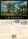 Joshua Tree, Arizona, United States US Postcard Posted 1986 Stamp - Autres & Non Classés