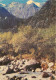 Bishkek, Kyrgyzstan Postcard Posted 1995 Stamp - Kirghizistan