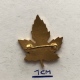 Badge (Pin) ZN003836 - Canada (Kanada) - Altri & Non Classificati