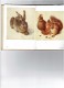 Delcampe - Buntes Dürer-Büchlein 25 Farbige Handzeichnungen Von Albrecht Dürer Chouette Hibou Scarabée Lapin écureuil Arbre Tortue - Painting & Sculpting