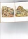 Delcampe - Buntes Dürer-Büchlein 25 Farbige Handzeichnungen Von Albrecht Dürer Chouette Hibou Scarabée Lapin écureuil Arbre Tortue - Malerei & Skulptur