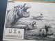 Künstlerkarte Schule / Abitur 1913 Studentika. Einjähriges. U.Z.a. Lessingschule. Tuschezeichnung. Nilpferde, Ruderboote - Escuelas