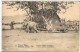 CONGO BELGA ENTERO POSTAL 1916 ELEFANTE ELEPHANT FAUNA MAMIFERO - Elefantes