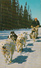 Dog Team And Sled Sleigh - Chien Traîneau - Animated - Probably Manitoba Canada - 2 Scans - Non Classés