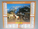 Vp-France-Calendrier 1996 Almanach Du Facteur - Les Grisons (Suisse) - Vallée De Manigod - Grossformat : ...-1900