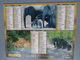 Vp-France-Calendrier 2004 Almanach Du Facteur - Animaux Sauvages - Formato Grande : ...-1900