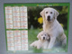 Vp-France-Calendrier 2010 Almanach Du Facteur - Golden Retriever - Bouvier Bernois - Groot Formaat: ...-1900