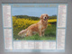 Vp-France-Calendrier 2013 Almanach Du Facteur - Borders Collies - Golden Retriever - Formato Grande : ...-1900