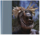 (4001) Australia - Aboriginal Men - Aborigènes