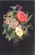 FLEURS  LAURIER ROSE, LILAS BLANC, LISERON  ILLUSTRATEUR   CARTE DESSINEE - Fleurs