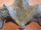 Delcampe - Pied De Candélabre? Bronze Romain - Archeologie