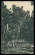 SÃO TOMÉ E PRÍNCIPE - Cacueiro Em Frutificação (Ed. Governo De S. Tomé E Principe R-S/477/1928) Carte Postale - São Tomé Und Príncipe