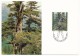 LIECHTENSTEIN - Der Wald In Den Jahrezeiten - Saisons Dans La Forêt - 4 Cartes Officielles - Protección Del Medio Ambiente Y Del Clima