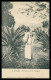 SÃO TOMÉ E PRÍNCIPE - Seviçal Natural De Angola ( Ed. Mendes & Lopes Araujo )carte Postale - Sao Tome En Principe