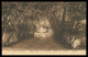 SÃO TOMÉ E PRÍNCIPE - A.C. Ilha Do Principe - Roça Infante D. Henrique: Trecho De Caminho .   Carte Postale - Sao Tome Et Principe