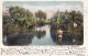 Siracusa Italy, Anapo River Scene, Reeds Papirus And Men In Water And On Shore, C1900s Vintage Postcard - Siracusa