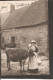 Jersey. Coiffe De Jersey-Costume-Cow-Vache-Kuh 1905 - Autres & Non Classés