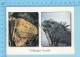 Galapados Ecuador,Iguane Terreste , Multi-View , Used In 2002 Stamp- 2 Scans - Equateur