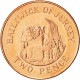 Monnaie, Jersey, Elizabeth II, 2 Pence, 2008, SPL+, Copper Plated Steel, KM:104 - Jersey