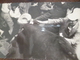 Carte Photo Corrida Pampeloune Pamplona Estudias Rulz - Corrida