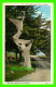 MONTEREY CO, CA - THE GHOST TREE ON 17 MILE DRIVE - C. T. AMERICAN ART COLORED - - Autres & Non Classés