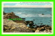 MONTEREY CO, CA - POINT JOE ON 17 MILE DRIVE, MONTEREY PENINSULA  - B. W. WHITE - - Autres & Non Classés