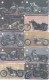 SERIE COMPLETA DE 14 TARJETAS DE NUEVA ZELANDA DE MOTOS  (MOTORBIKE-MOTO) - Motos