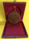 Medaille Du Ministère De L Agriculture Bronze Belle Pièce Sous Coffret D Origine Raisins Vignes Blés Concours Agricole - Professionnels / De Société