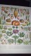 Affiche (dessin Ou Gravure) -  LEGUMES ET PLANTES POTAGERES - Posters