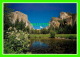 YOSEMITE, CA - EL CAPITAN, BRIDAL VEIL FALLS &amp; THE MERCED RIVER - PHOTOGRAPHER, JOHN WAYMAN - - Yosemite