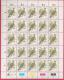 CISKEI, 1981, MNH Stamp(s) In Full Sheets, BIRDS, 5-21 - Ciskei